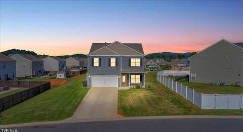 6345 Wildlife Circle, Piney Flats, TN 37686