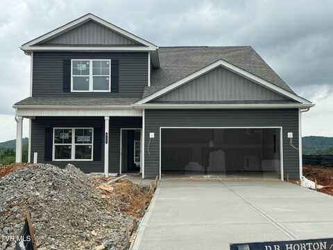 917 O'Hara Court, Blountville, TN 37617