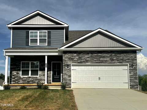 311 Terrapin Drive, Johnson City, TN 37604