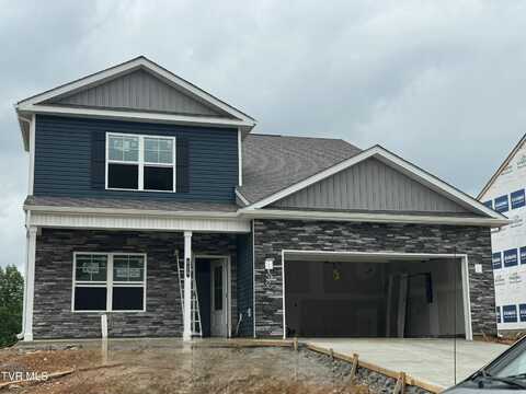 929 O'Hara Court, Blountville, TN 37617