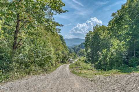 Waters Rd, Laurel Bloomery, TN 37680