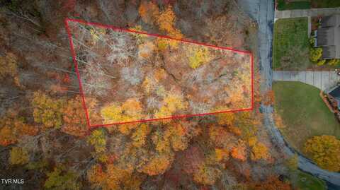 Tbd Oak Forest (Lot 25) Place, Kingsport, TN 37664