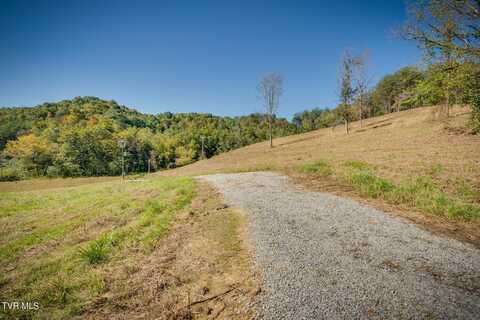 Flower Gap Road, Blackwater, VA 24221