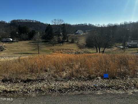Tbd Clearwater Drive, Kingsport, TN 37664