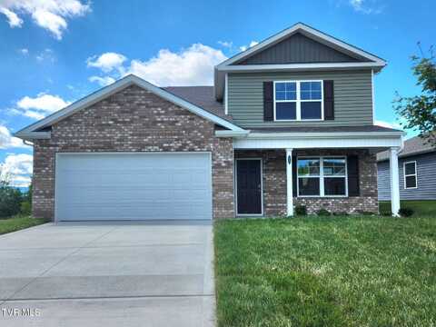 1007 Persimmon Hollow, Greeneville, TN 37745