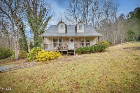 107 Beech Lane Lane, Roan Mountain, TN 37687