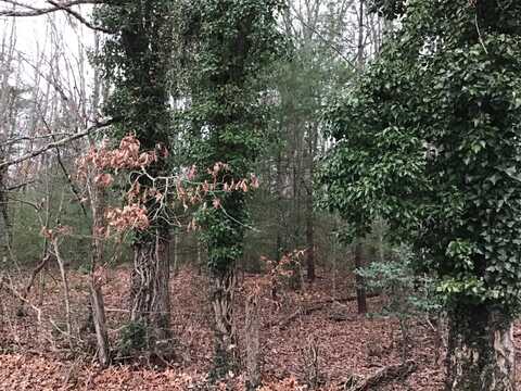 Hall Avenue SW, Wise, VA 24293