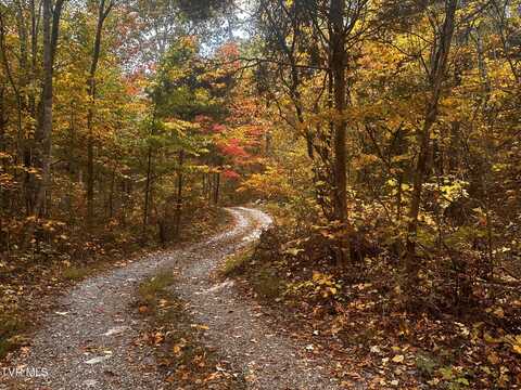 Tbd Promiseland Way, Greeneville, TN 37743