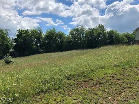 Village Loop, Abingdon, VA 24210