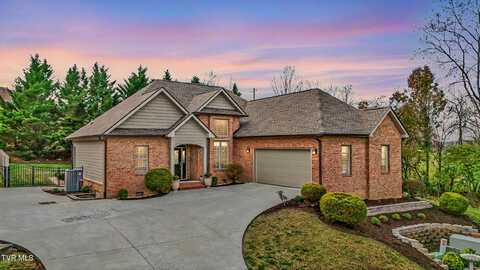 1012 Embassy Row, Johnson City, TN 37601