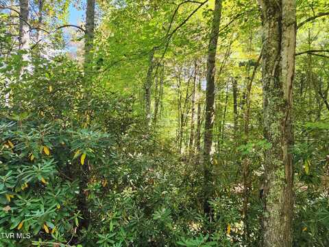 Myrtle Drive lot: 4, Mountain City, TN 37683