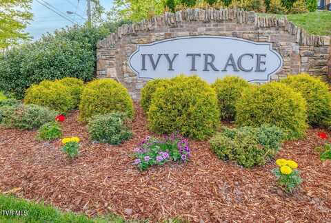 English Ivy Trail lot: 49, Jonesborough, TN 37659