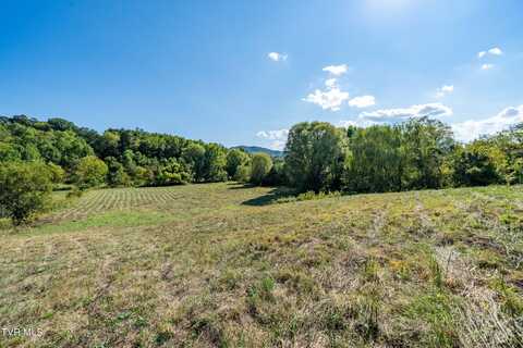 2305 Little Meadow Creek Road, Greeneville, TN 37743