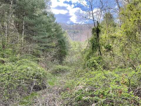 Orby Cantrell Highway, Wise, VA 24293