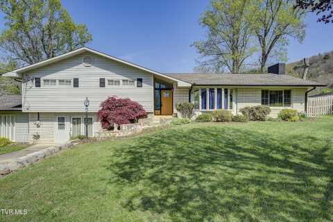 204 Luttrell Street, Erwin, TN 37650
