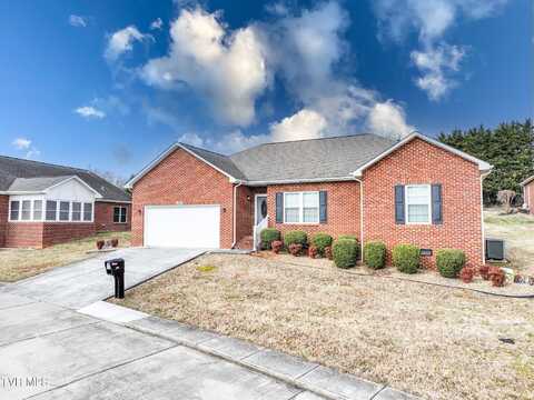 205 Farmington Drive, Greeneville, TN 37743