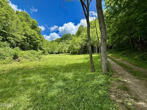 3000 Caney Creek Lane, Greeneville, TN 37745