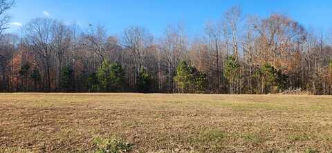 Lot 125 Southern Shores Pt (Kyle Rd), HUNTINGDON, TN 38344