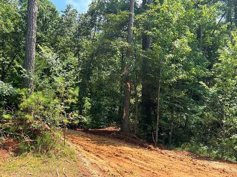 125 Strike King Dr (Lot 217), CEDAR GROVE, TN 38321