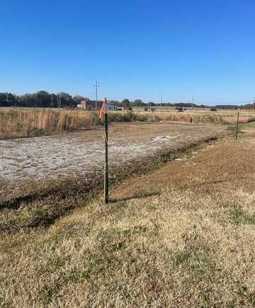 Stonehaven Dr. (Lot 4), BELLS, TN 38006