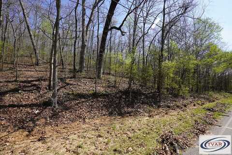 Bill Brake Road, DOVER, TN 37058