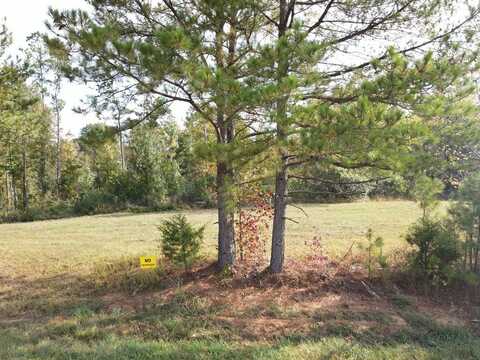 Leach, CEDAR GROVE, TN 38344