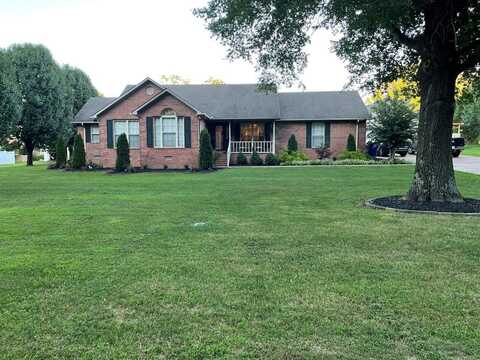 106 Parks Rd, GLEASON, TN 38229