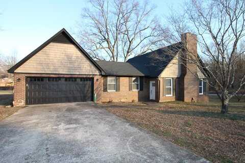 132 Diamond Drive, MCKENZIE, TN 38201