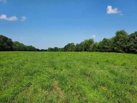 SULPHUR CREEK RD, BIG SANDY, TN 38221