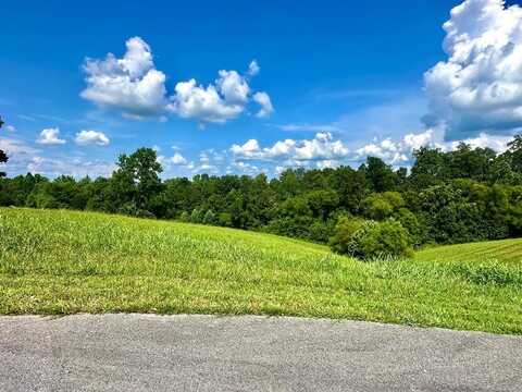 Lot 76 Holly Bend dr, Byrdstown, TN 38549