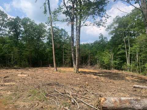 Lot 324 Timber Wood Trail, Spencer, TN 38585