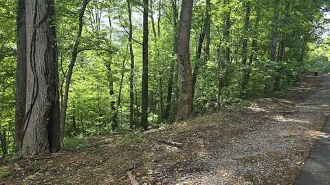 3 Savannah Dr, SMITHVILLE, TN 37166