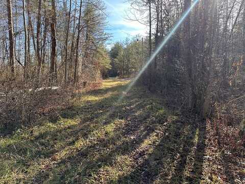 14.56 ac Hwy 52, Robbins, TN 37852