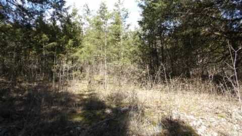 5.60ac Lewis James Lane, Riddleton, TN 37151