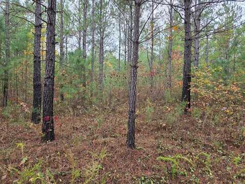 Lot 8 Everette Lane, Robbins, TN 37852