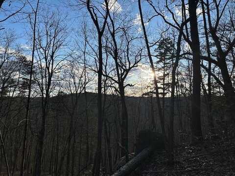 Lot 303 Hilltop Lane, WILDER, TN 38589