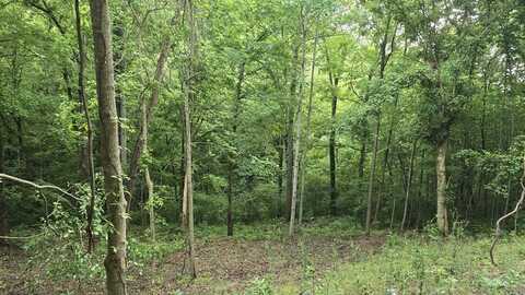 116 Lake View Dr, SMITHVILLE, TN 37166
