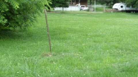1.60ac Swan (Swann) Street, Celina, TN 38551