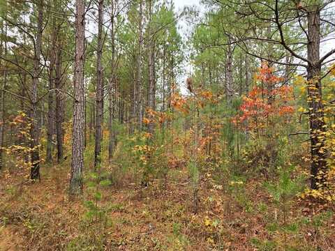 Lot 7 Everette Lane, Robbins, TN 37852