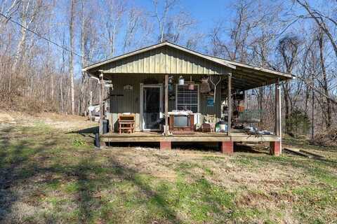 224 Golden Lane, Celina, TN 38551