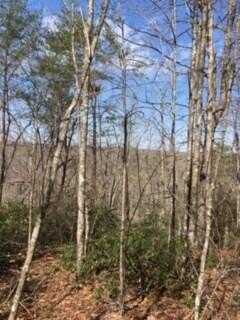 Lot 328 Flat Top View, WILDER, TN 38589