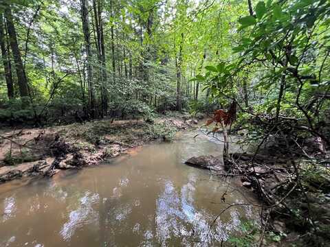 4.6 Ac. Coal Road, Jamestown, TN 38556