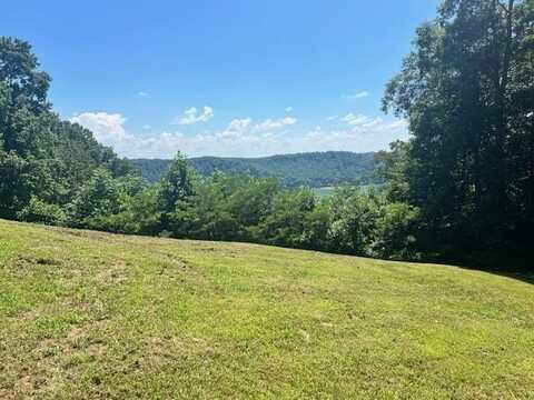 Lot 9 LaFever Ridge Road, Silver Point, TN 38582
