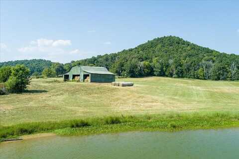 16 ACRES JIM HENNESSEE RD, SPARTA, TN 38583