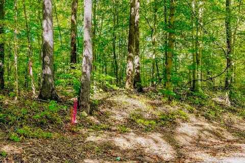 Bolestown Loop Lot 3, ALPINE, TN 38543