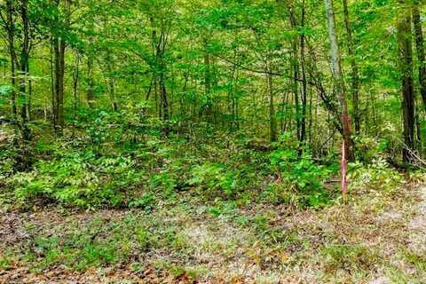 Bolestown Loop Lot 2, ALPINE, TN 38543