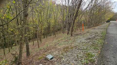 86 Blackberry Ridge Way, SMITHVILLE, TN 37166