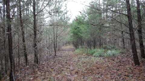Lot 27 North Star Rd, Jamestown, TN 38556