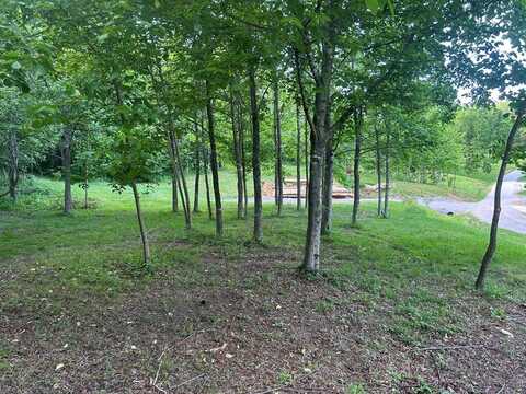 Shady Creek Ln, Byrdstown, TN 38549
