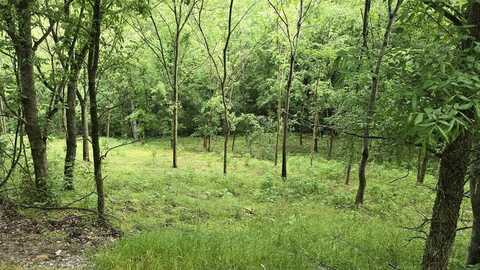85 Blackberry Ridge Way, SMITHVILLE, TN 37166